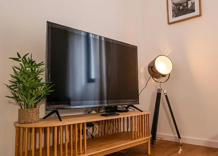 Oasls & 公寓 丰沙尔